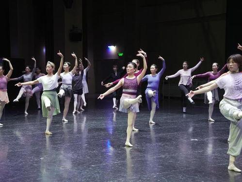 芭蕾爆料真人视频大全集,揭秘真人视频大全集  第2张