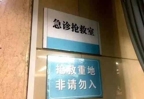 石家庄市小区爆料案件最新,真相即将揭晓！