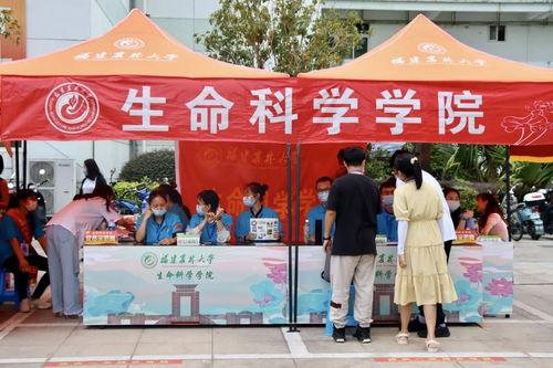 港媒爆料视频下载